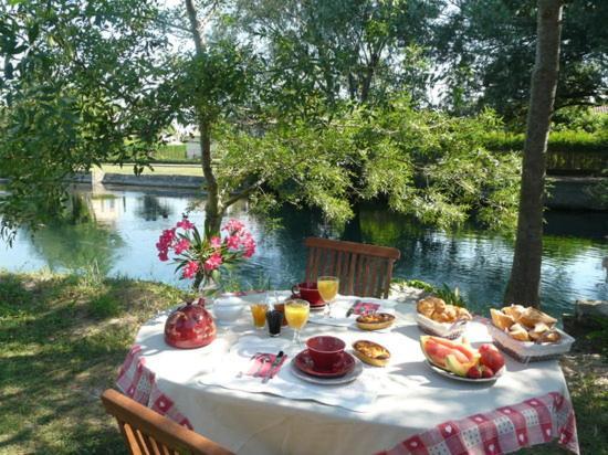 Bed and Breakfast Mas Le Pont Des Aubes LʼIsle-sur-la-Sorgue Zewnętrze zdjęcie