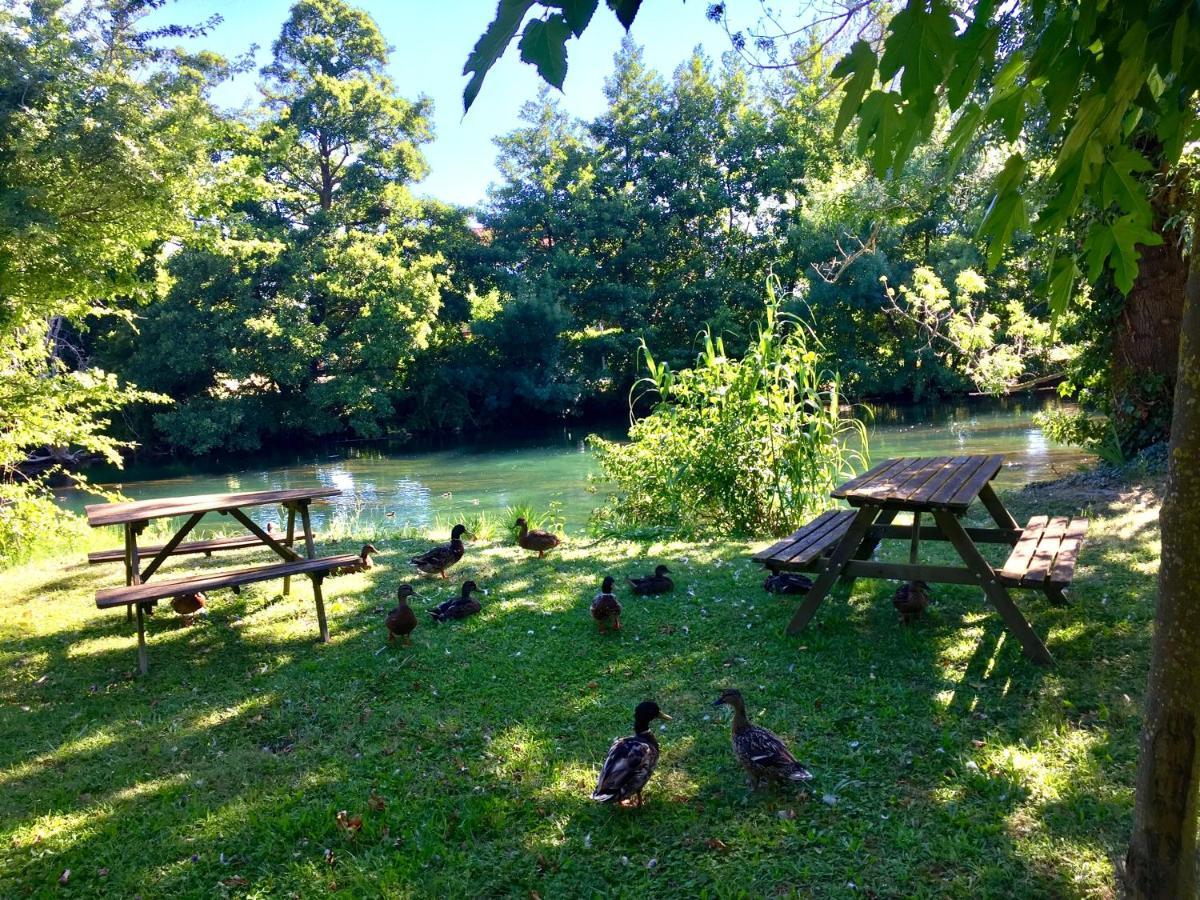 Bed and Breakfast Mas Le Pont Des Aubes LʼIsle-sur-la-Sorgue Zewnętrze zdjęcie